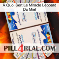 À Quoi Sert Le Miracle Léopard Du Miel kamagra1